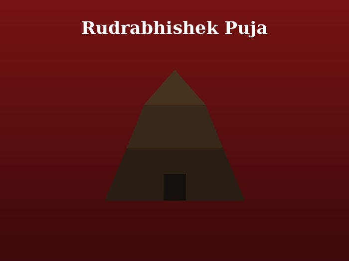Rudrabhishek Puja for Health and Prosperity